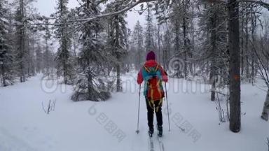 滑雪<strong>巡回</strong>赛-白雪皑皑的冬林中带着滑雪板的女人